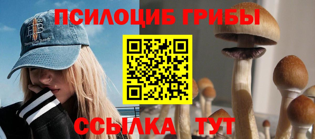 Галлюциногенные грибы Psilocybine cubensis Тимашёвск